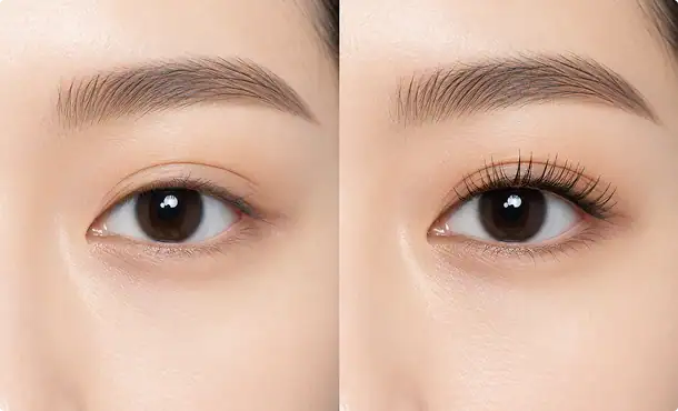 builds-lash-volume