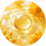 calendula-extract