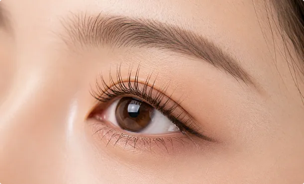 enhances-eye-definition