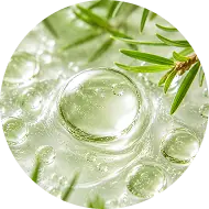tea-tree-oil